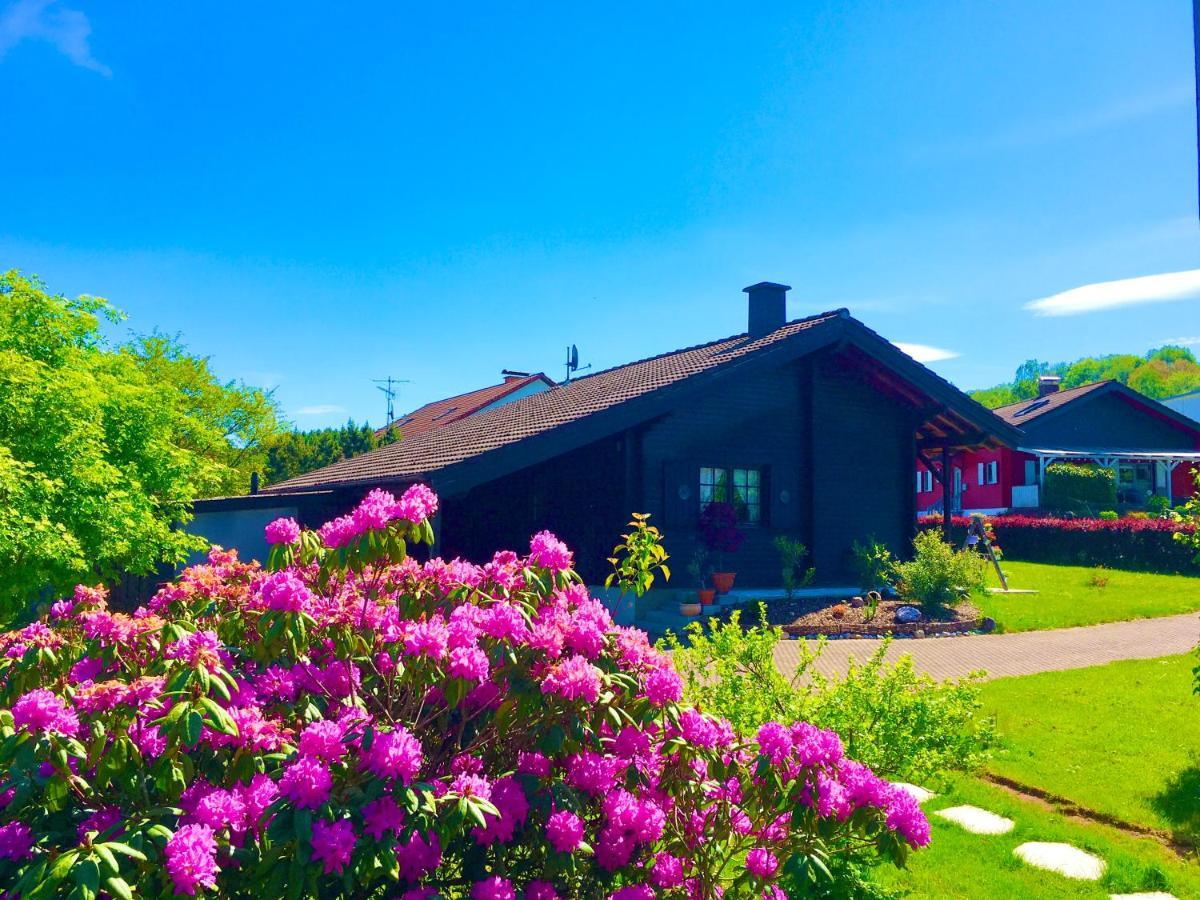 Ferienhaus Bergglueck Nonnweiler Eksteriør billede